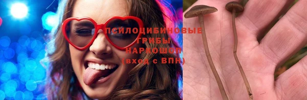 прущие крисы Богданович